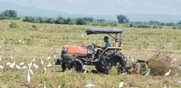 Agrodosa entrega RD$ 124.7 millones a 361 productores afectados por eventos climáticos